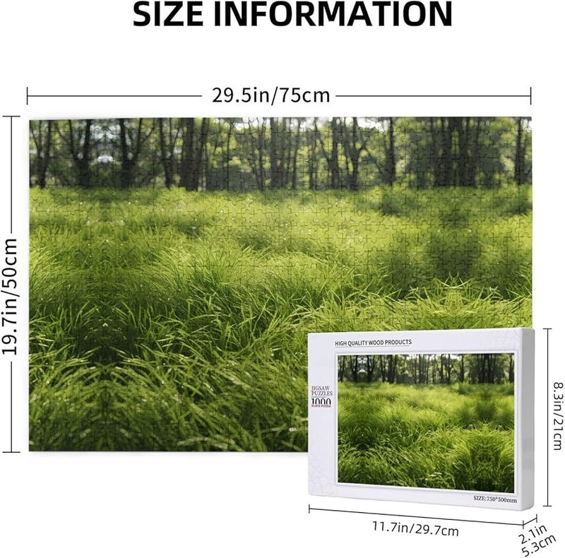 لغز فايا بيلو 1000 قطعة للكبار هدية ديكور منزلي 29.5 × 19.7 بوصة - Image 3